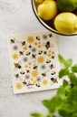 HappyEco - dishcloth Bee