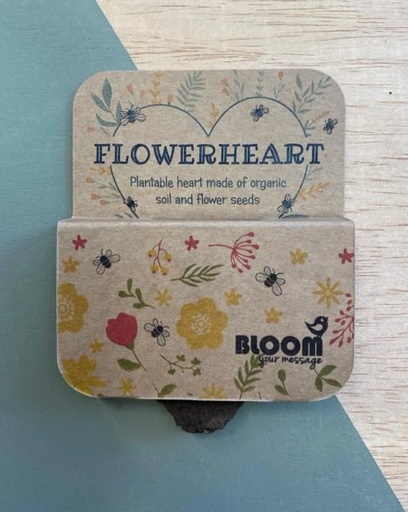 [FLWRT_01_CWRHS] BLOOM Your Message - Flowerheart