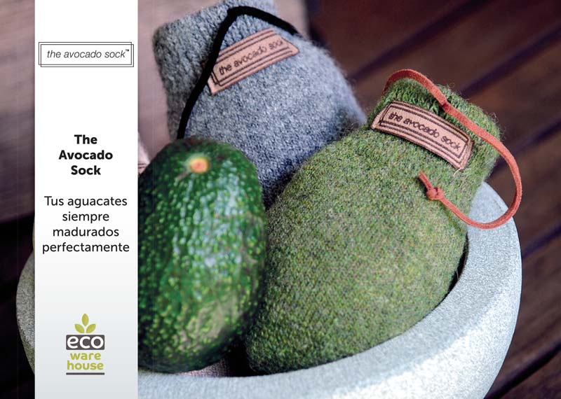 The Avocado Sock set 25 infocards ES