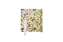 Bee's Wrap XXL Roll - Wheels N Wedges