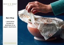 Bee's Wrap set 25 infocards FR